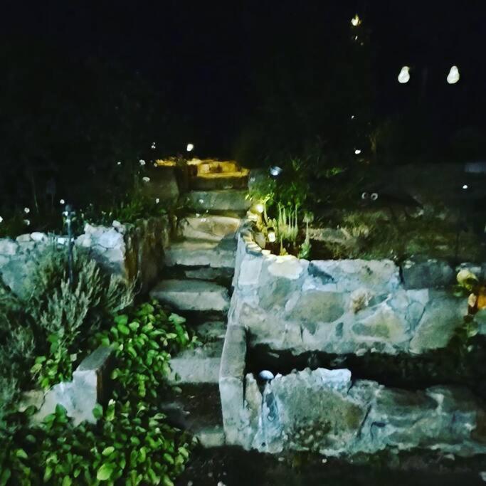 O'Brien'S Oasis Villa Miramonte Ngoại thất bức ảnh